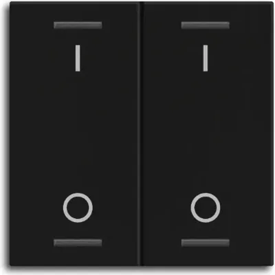 Image de MDT Bascule Light 55 double, noir mat – Commutation, 1 pièce.