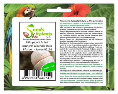 Produktbild von 10x Lithops julii Fulleri Kenhardt Lebender Stein Pflanzen - Samen B2154