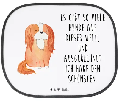 Produktbild von Mr. & Mrs. Panda Sonnenschutz Auto Hund Cavalier King Charles Spaniel - Weiß - Geschenk, Seitenscheibe, Hitzeschutz, Spruch, Autosonnenschutz, Bester, Sonnenblende