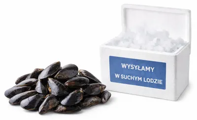 Produktbild von Maultiere in der Schale 1kg - Sea Story