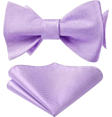 Produktbild von Fliegen-Set Herren mit Einstecktuch, selbstbindend, verstellbar, Lila