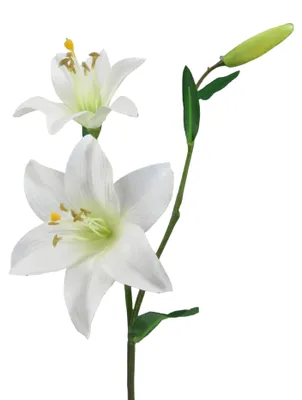 Produktbild von Kunstblume LILIE 60cm. Mit 2 Lilien Blüten und 1 Knospe. WEISS
