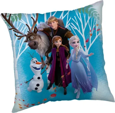 Immagine prodotto di Cuscino Frozen 02 Family 40x40 cm