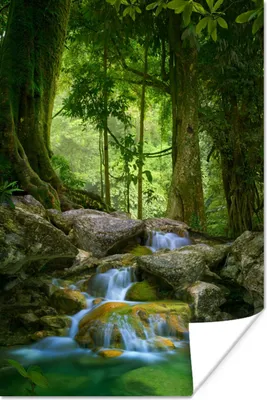 Produktbild von MuchoWow® Poster Dschungel - Steine - Wasser - Natur - Pflanzen 80x120 cm - Papierdruck