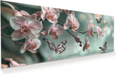 Produktbild von Glasbild 125x50cm in XXL für Wohnzimmer, Schlafzimmer Motiv Orchideen Schmetterling