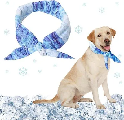 Produktbild von Famanu Kühlhalsband für Hunde - Verstellbar, dreilagig, ideal gegen Überhitzung