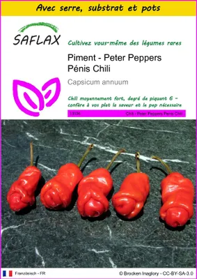 Image de SAFLAX Ensemble de culture - Piment - Peter Peppers Pénis Chili - 10 graines - Capsicum
