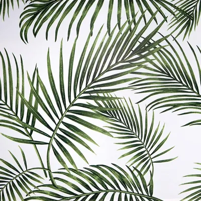 Productafbeelding van PromoHome® Zelfklevende behangfolie met groen bladmotief – Waterdichte vinylfolie voor meubels en muren, 44 cm x 5 m, groen