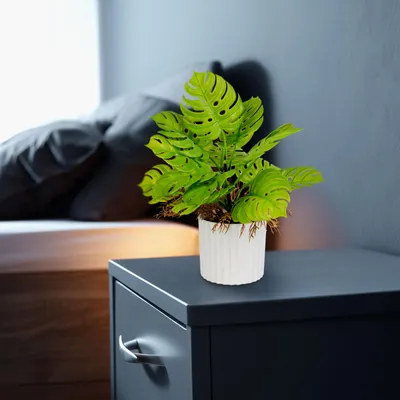 Produktbild von Künstliche Pflanze - Heimdekoration - Monstera - 22 x 8,5 cm 1 Stück [11888], KI-generiertes Bild