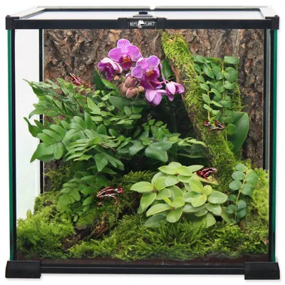 Zdjęcie produktu dla REPTI PLANET terrarium szklane 20x20x20cm