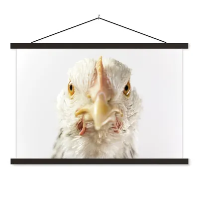Produktbild von MuchoWow® Textilposter Huhn - Vogel - Schnabel 60x40 cm mit schwarzem Rahmen - Hölzernes
