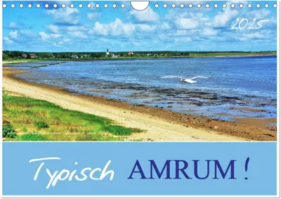 Produktbild von Typisch Amrum! (Wandkalender 2025 DIN A4 quer), CALVENDO Monatskalender