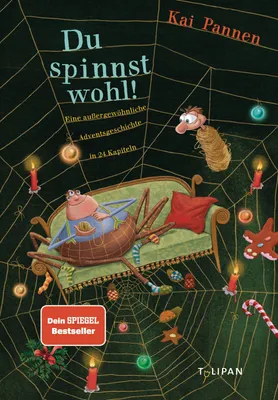 Produktbild von Pannen, K: Du spinnst wohl!