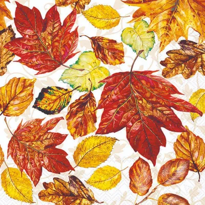 Produktbild von 20 Servietten Leaves - Der Herbst kommt 33x33cm