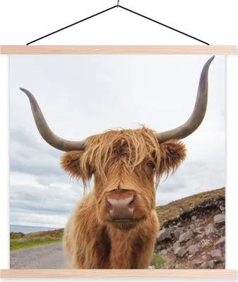Produktbild von MuchoWow® Textilposter Schottisches Hochlandrind - Kuh - Landschaft 40x40 cm mit holzfarbenen Rahmen - Posterleiste