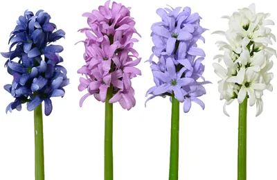 Produktbild von Decoris Kunstblume Hyazinthe Polyester ø7xh22cm