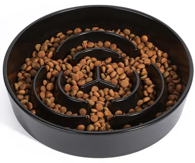 Produktbild von Hundenapf Anti-Schling-Napf Slow Feeder - Keramik - Ø 21 cm - Für Hunde jeder Größe