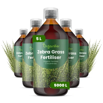Produktbild von Flüssigdünger Für Zebragras 5x1L – 2-1-8 NPK – Flüssig-Pflanzendünger Für Zebragras – Organifer