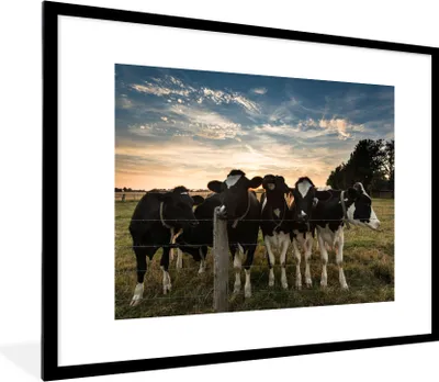 Produktbild von MuchoWow® Gerahmtes Poster Tiere - Kuh 80x60 cm - Poster mit Schwarzem Bilderrahmen Wandposter Rahmen Foto Bilder - Schlafzimmer-Dekorationen - Fotoposter