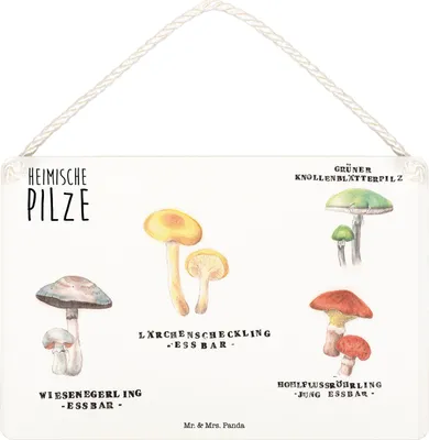 Produktbild von Mr. & Mrs. Panda Schild Heimische Pilze DIN A4 - Geschenk, kleine aufmerksamkeit, Glückspilz, Türschild, Holzschild, Dekoration, Wandbild Holz, Deko, Pilz