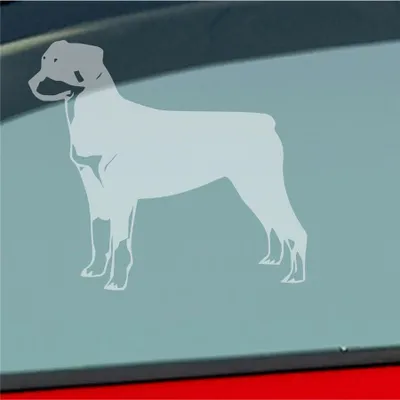 Produktbild von Auto Aufkleber Rottweiler Tier Hund Dog Animal 11x10 cm Milchglas Sticker Heckscheibenaufkleber