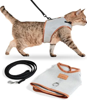 Image de Harnais pour chat PiuPet® I Avec laisse de 1,2 m | Anti-fuite | Harnais pour chat | Laisse pour chat I (M) - Gris