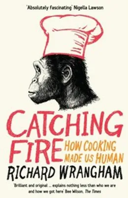 Obrázek produktu pro Catching Fire