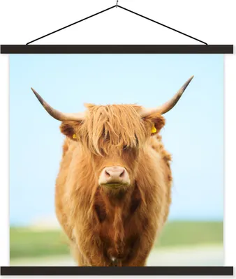 Produktbild von MuchoWow® Textilposter Schottisches Hochlandrind - Haare - Gras 40x40 cm mit schwarzem Rahmen - Fotos