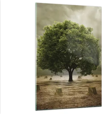 Produktbild von Bilder auf glas - Einteilig - Baum Feld Umwelt - 80x120cm - Glasbilder - Wandbilder - Bilder - zum Aufhängen bereit - Wanddekoration aus Glas - Glas Bilder - Wandbild auf Glas - GPA80x120-2727