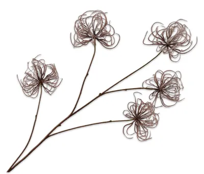 Produktbild von Silk-ka Kunstblume – Brauner Seiden-Waldrebenzweig, 95 cm