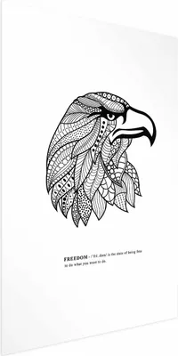 Produktbild von Posterpapier Poster - Eagle of Freedom 29.7x42 cm Tiere g-A-0174-ao-a