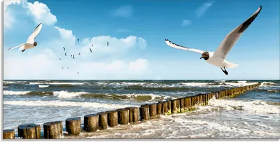 Produktbild von ARTland Glasbild Ostsee Größe: 100x50 cm