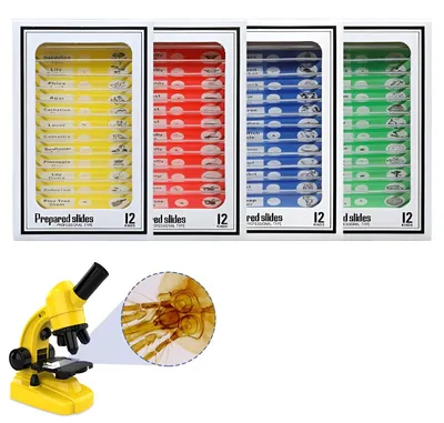 Imagen del producto de Portaobjetos para microscopio, 48 unidades, con preparados de animales, insectos y plantas, para uso en biología