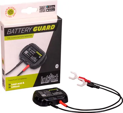 Image de intAct Battery Guard moniteur de batterie pour batteries acide/lithium 12V