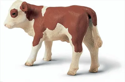 Produktbild von Schleich 13132 Fleckvieh-Kalb