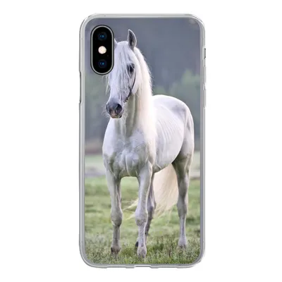 Produktbild von MuchoWow® Handyhülle Schutzhülle Hülle für iPhone X Pferd - Licht - Morgen Silikon Softcase Handy Hülle - Handyhülle