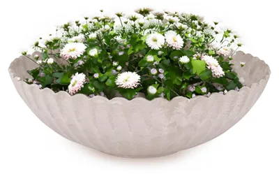 Produktbild von Pflanzschale für draussen Dekoschale rund sand beige marmoriert 22 cm