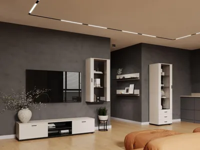 Productafbeelding van Wandmeubel SINDI 6J, kleur: kasjmir/zwart