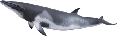 Image de Collecta Speel Figurine nain Vinvis Gray 20 x 6 cm