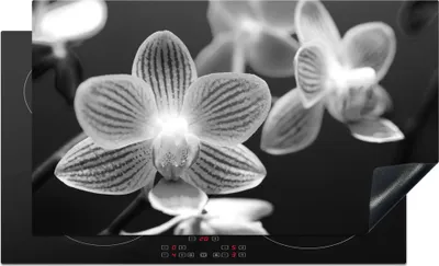 Produktbild von KitchenYeah© Herdabdeckplatte Orchideenblüte - schwarz und weiß , 91x52cm, Küche Deko, Glaskeramikkochfeld Herdabdeckung, Abdeckplatte fùr Kochfeld