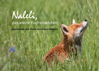 Produktbild von Naleli, das kleine Fuchsmädchen