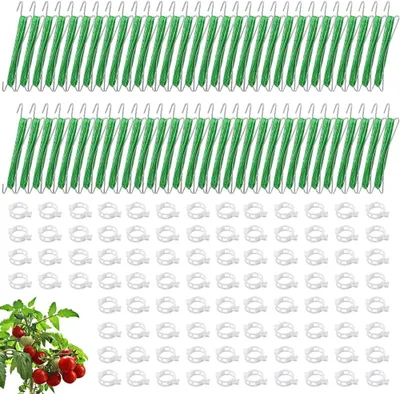 Image de Supports pour tomates avec ficelle, de couleur verte, pour jardin potager