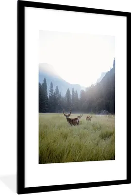 Produktbild von MuchoWow® MuchoWow® Gerahmtes Poster Wald - Hirsche - Nebel 60x90 cm - Poster mit zchwarzem Bilderrahmen - Dekoration - Wandposter Wohnzimmer - Hochwertig