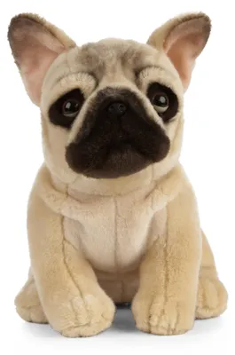 Image de Living Nature Peluche Bouledogue français Chien en peluche 25 cm Jouet