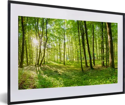 Produktbild von MuchoWow® Gerahmtes Poster Natur - Bäume - Wald - Grün - Sonnenlicht 60x40 cm - Poster mit Schwarzem Bilderrahmen Wandposter Rahmen Foto Bilder - Schlafzimmer - Plakat in Rahmen - Drucken