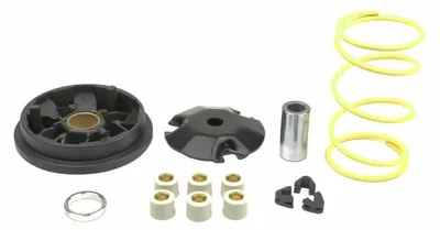 Immagine prodotto di Kit variatore ATHENA Speedmatic 16x13mm 6 rulli 7g