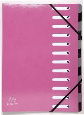 Image de EXACOMPTA Classeur à levier Iderama 12 compartiments rose