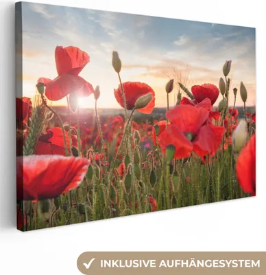 Produktbild von MuchoWow® - Leinwandbilder - Sonnenuntergang hinter den schönen Mohnblumen, Wandbild, Wanddeko Bilder Wohnzimmer, 120x80 cm