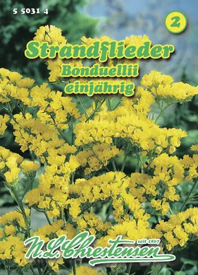 Produktbild von Strandflieder Bonduellii | Lavendelsamen von N.L. Chrestensen