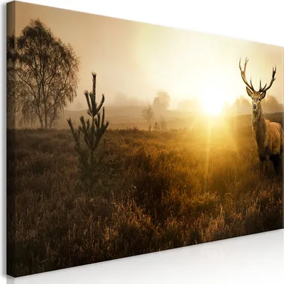 Produktbild von Wandbild Mega XXXL Hirsch im Morgenlicht 250x125 cm Einteiliger XXL-Format Kunstdruck zur Selbstmontage Leinwandbilder moderne Bilder DIY Wanddekoration Wohnung Deko Tiere Natur g-B-0050-ak-e
